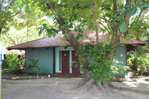 PK\'s Jungle Village - Palm Beach Accommodation 8