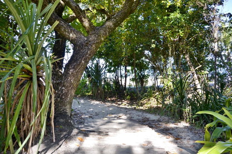 PK\'s Jungle Village - Palm Beach Accommodation 28