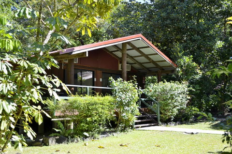 PK\'s Jungle Village - Palm Beach Accommodation 21