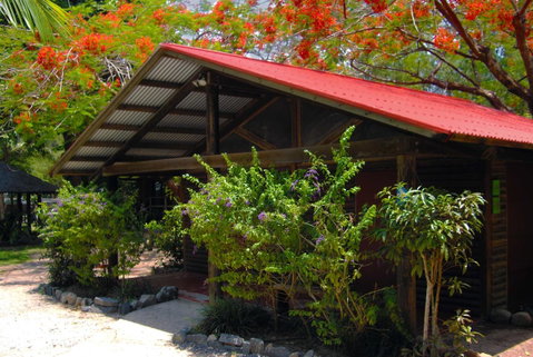PK\'s Jungle Village - Palm Beach Accommodation 10