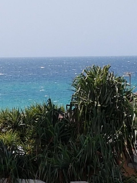 Surfers Chalet - Palm Beach Accommodation 27