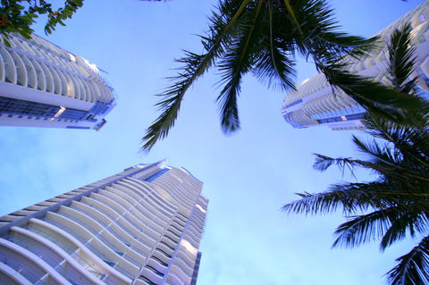 Mantra Towers Of Chevron - Palm Beach Accommodation 4