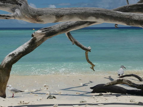 Tranquility By The Course Port Douglas - Palm Beach Accommodation 18
