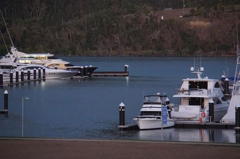 Airlie Seaview Apartments - Palm Beach Accommodation 11