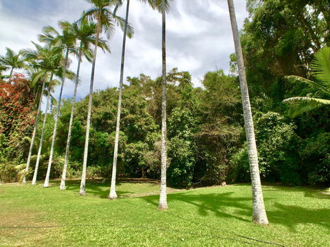 Argosy On The Beach - Palm Beach Accommodation 13