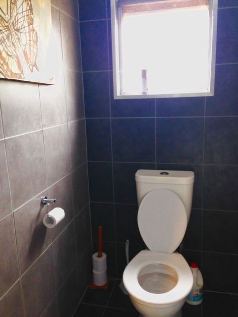 XYL Pets Friendly Seaside Boutique Guesthouse - Palm Beach Accommodation 5