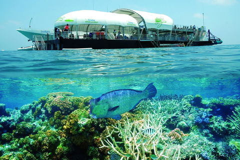 The Sebel Whitsundays - Palm Beach Accommodation 9