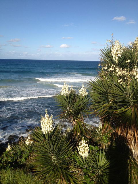 Oceania On Burleigh Beach - Palm Beach Accommodation 23