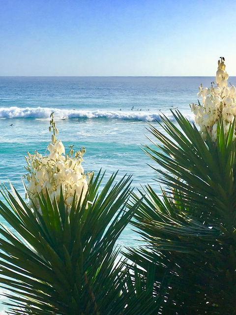 Oceania On Burleigh Beach - Palm Beach Accommodation 21