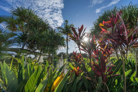 Currumbin Sands On The Beach - Palm Beach Accommodation 9