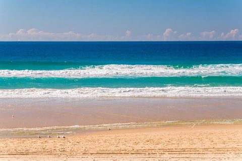 Aegean Resort Apartments - Palm Beach Accommodation 22