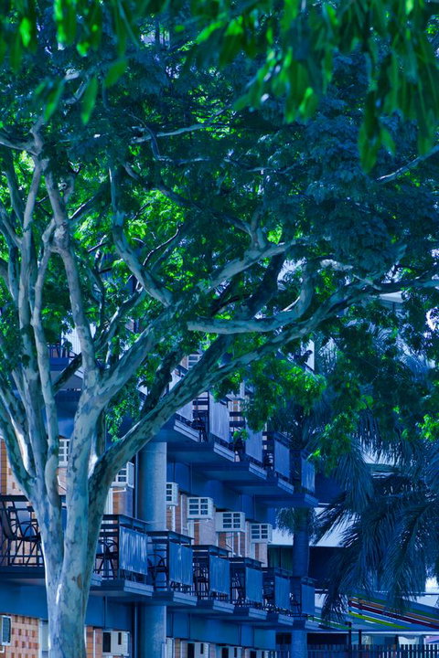 Soho Brisbane - Palm Beach Accommodation 12