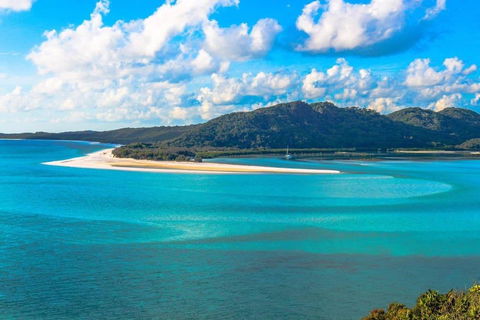 Location! 2BR Town View Unit In Centre Of Airlie. - Palm Beach Accommodation 19