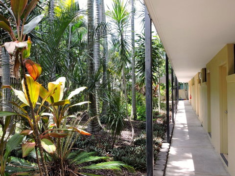 Best Western Airport 85 Motel - Palm Beach Accommodation 18