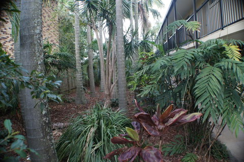 Best Western Airport 85 Motel - Palm Beach Accommodation 34