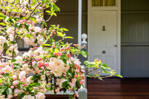 Apple Blossom Cottages - Palm Beach Accommodation 2