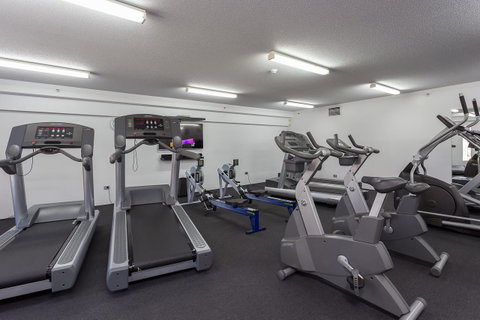 Oxygen Apartments - Palm Beach Accommodation 15