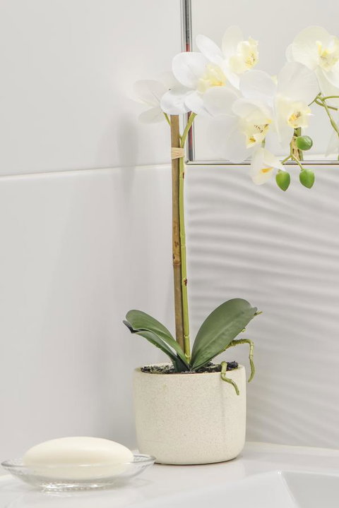 The Guesthouse Maleny - Palm Beach Accommodation 32