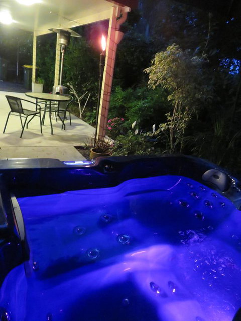 Shasta Place - Palm Beach Accommodation 7