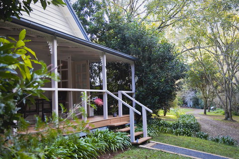 Curtis Falls Cottage - Palm Beach Accommodation 15