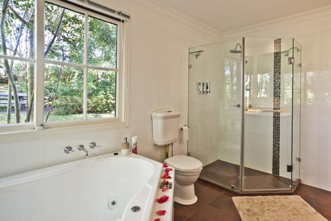 Curtis Falls Cottage - Palm Beach Accommodation 4