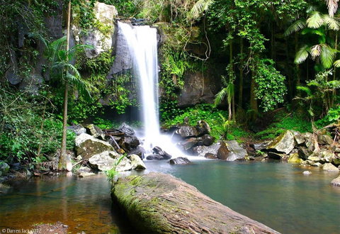 Curtis Falls Cottage - Palm Beach Accommodation 22