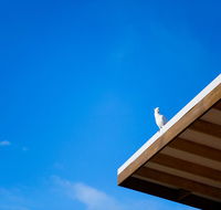 Wye Not Escape - Palm Beach Accommodation