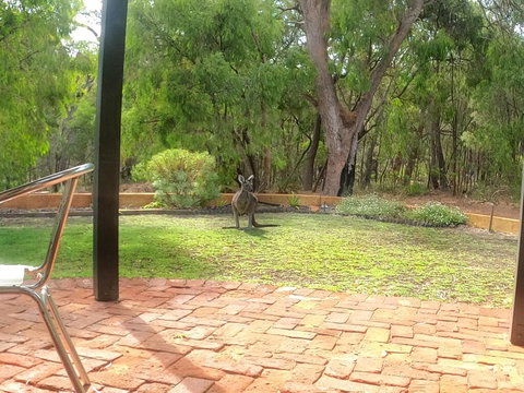 Yallingup Pet Friendly Bush Retreat - Palm Beach Accommodation 3