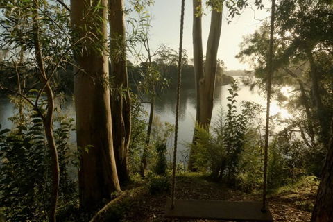 A Tamed Wilderness - Palm Beach Accommodation 3