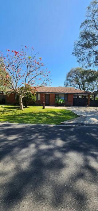 Abbey Beach Cottage - Palm Beach Accommodation 1