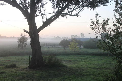 Abington Farm B & B - Palm Beach Accommodation 0