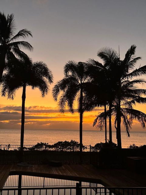 ABSOLUTE BEACHFRONT BLISS - NEWELL BEACH - 10 Metres To The Ocean - Palm Beach Accommodation 3