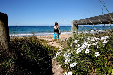 Absolute Beachfront Mollymook - Palm Beach Accommodation 4