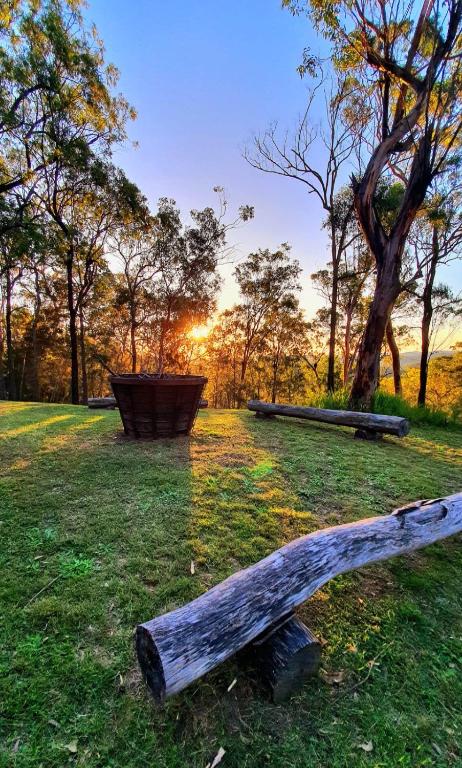 Allawah Bush Retreat - Palm Beach Accommodation 1