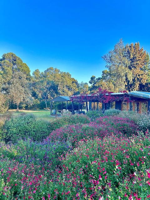 Alluca Villa McLaren Vale Vineyard Escape - Palm Beach Accommodation 4