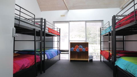 Alpine Sports Lodge - Palm Beach Accommodation 4