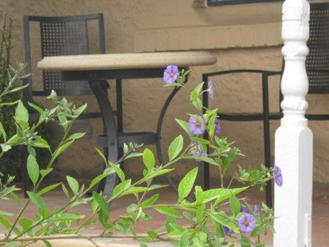Amalie Cottage Waikerie Unit 1 - Palm Beach Accommodation 2