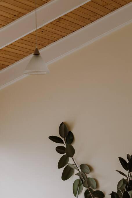 Amarela Haus - Calming Retreat Within Oceans Reach - Palm Beach Accommodation 1