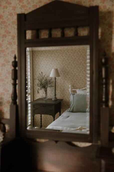 Amarela Haus - Calming Retreat Within Oceans Reach - Palm Beach Accommodation 3