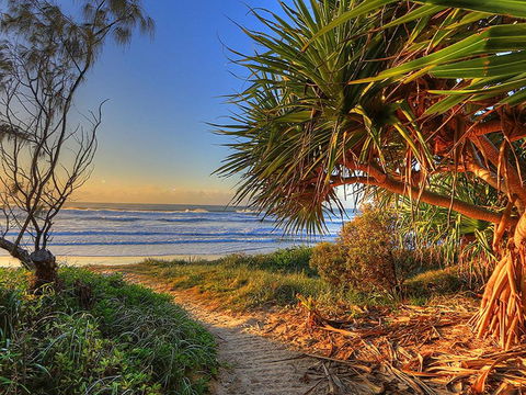 Anchorage Holiday Park - Palm Beach Accommodation 4
