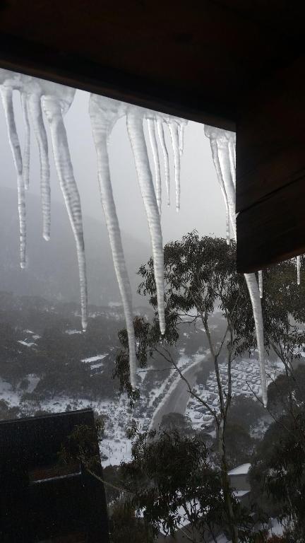 Aneeki Ski Lodge - Palm Beach Accommodation 2