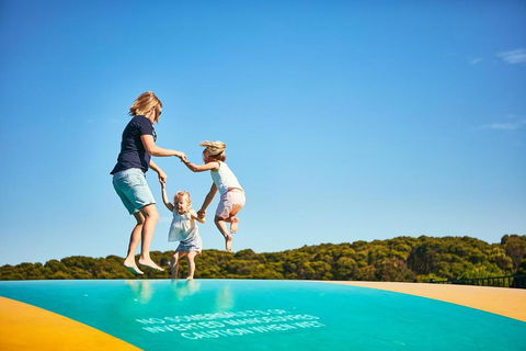 Anglesea Family Caravan Park - Palm Beach Accommodation 3