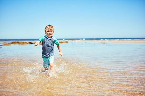 Anglesea Family Caravan Park - Palm Beach Accommodation 4