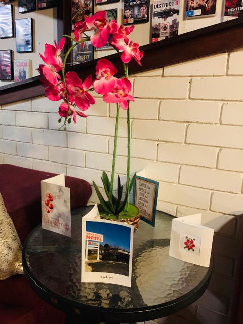 Anna Bella Motel Glen Innes - Palm Beach Accommodation 4