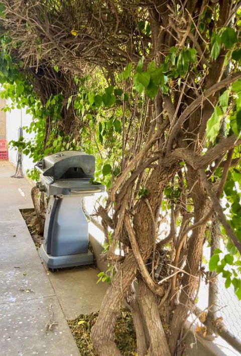 Argent Abode CBD - Palm Beach Accommodation 1