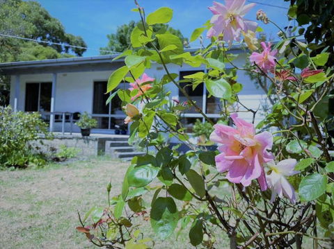 Apollo Bay Holiday House - Palm Beach Accommodation 1