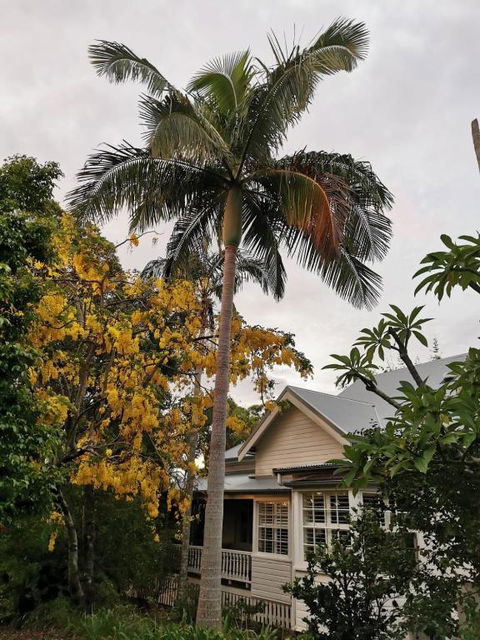 Arcadia House - Palm Beach Accommodation 3