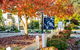Autumn Beauty - Mountain View Cottage 3 - thumb 1
