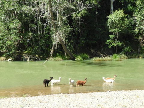 Avalon River Retreat - 400 Acre Riverside Oasis - Palm Beach Accommodation 4