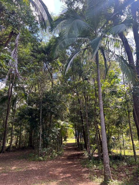 Avana Byron Apartment - Palm Beach Accommodation 4